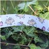 Order  Animal Cuties - Heart Bunny