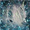 Order  Bling Eyelash - White