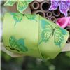 Order  Butterfly Ribbon - Lime