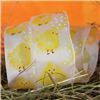 Order  Easter Treat Ribbon - Chicks and Eggs