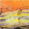 Order  Easter Treat Ribbon - 38mm Sheer Stripe Yellow