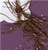 Order  Eyelash - Copper