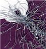 Order  Eyelash - Silver