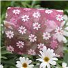 Order  Full Blooms Ribbon - Daisy Sheer/Pink