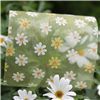 Order  Full Blooms Ribbon - Daisy Sheer/Yellow
