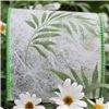 Order  Full Blooms Ribbon - Large Leaf