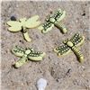 Order  Fun in the Sun Buttons - Dragonfly Yellow