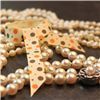 Order  Bauble Grosgrain Ribbon - Buttermilk