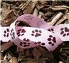 Order  Paw Print Ribbon - Pink Grosgrain