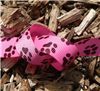 Order  Paw Print Ribbon - Shocking Grosgrain
