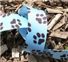 Order  Paw Print Ribbon - Sky Grosgrain