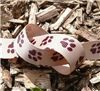 Order  Paw Print Ribbon - Tan Grosgrain