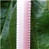 Order  7mm Ombre Ribbon - Rose