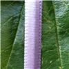 Order  7mm Ombre Ribbon - Silver