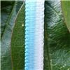 Order  7mm Ombre Ribbon - Turquoise
