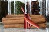 Order  5mm Ombre Ribbon - Rust
