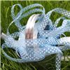 Order Organza Swiss Dot Ribbon -Copan/White