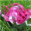 Order Organza Swiss Dot Ribbon - Azalea/Black