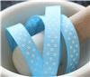 Order  Grosgrain Ribbon - Swiss Dot Blue Mist/White