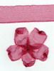 Order  10mm Sheer Ribbon -  Dusky Pink