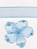 Order  10mm Sheer Ribbon - Sky