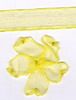 Order  10mm Sheer Ribbon -  Lemon