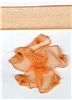 Order  10mm Sheer Ribbon - Apricot