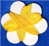 Order  7mm Silk Ribbon Colour Goldenrod