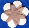 Order  7mm Silk Ribbon Colour Honey Beige