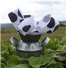 Order  Silly Moo Ribbon - Cow Print