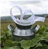 Order  Silly Moo Ribbon - Happy Birthday White