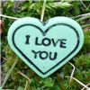 Order  Buttons - I Love You Heart - Lime