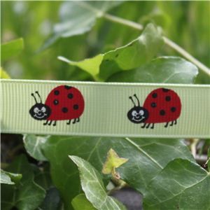 Animal Cuties - Ladybird/Lime Juice