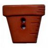 Order Online
