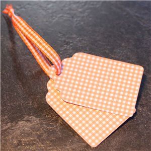 Mini Check Tags - Orange