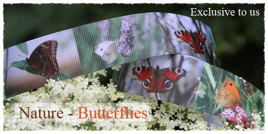 nature collection - butterflies