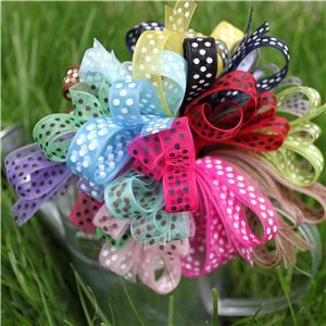 organza sheer swis dot ribbon