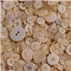 Order  Basics 2 Go Buttons - Cream