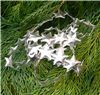 Order  Christmas Silver Padded Stars