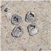 Order  Fun in the Sun Buttons - Metal Crab