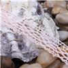 Order  Assorted Cotton Lace - Taffy
