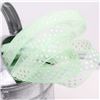 Order Organza Swiss Dot Ribbon - Mint/White