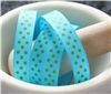 Order Grosgrain Ribbon - Swiss Dot Turquoise/Apple