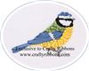 Order  Silk Ribbon Embroidery Kit - Blue Tit