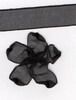 Order 10mm Sheer Ribbon - Black