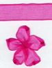 Order  10mm Sheer  Ribbon - Shocking Pink