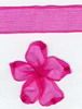 Order 10mm Sheer  Ribbon - Shocking Pink