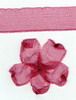 Order 10mm Sheer Ribbon -  Dusky Pink