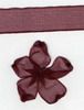 Order  10mm Sheer Ribbon -  Burgundy