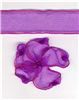 Order 10mm Sheer Ribbon - Plum